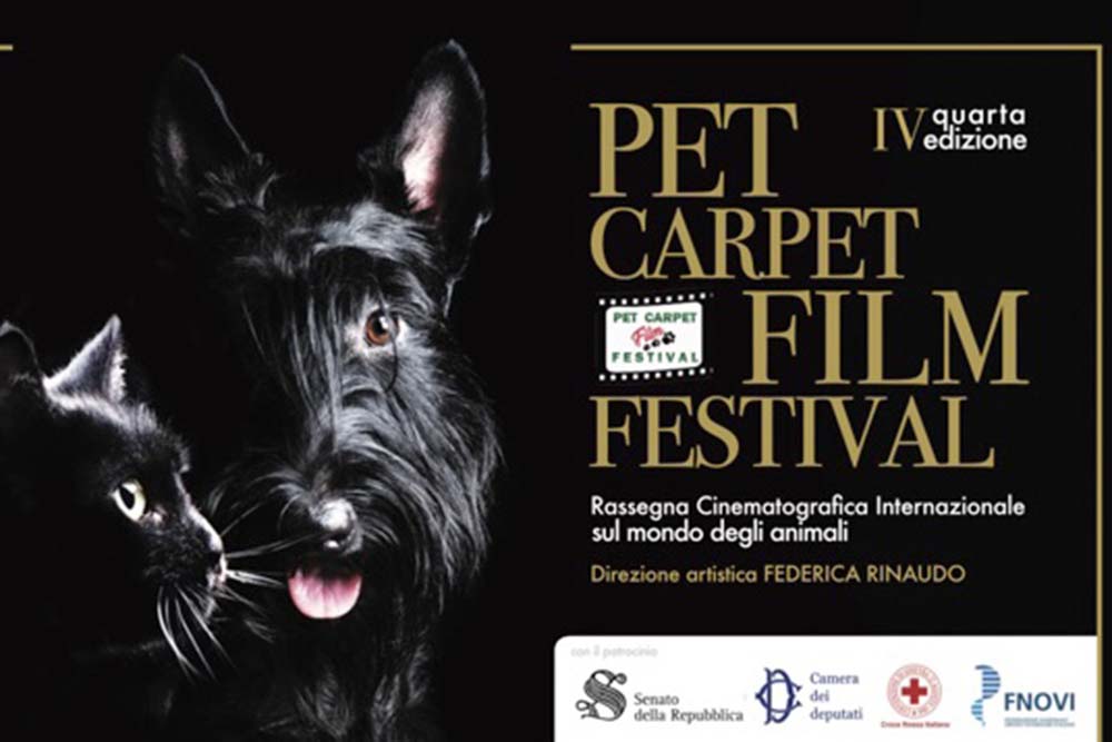 Torna il Pet Carpet Film Festival